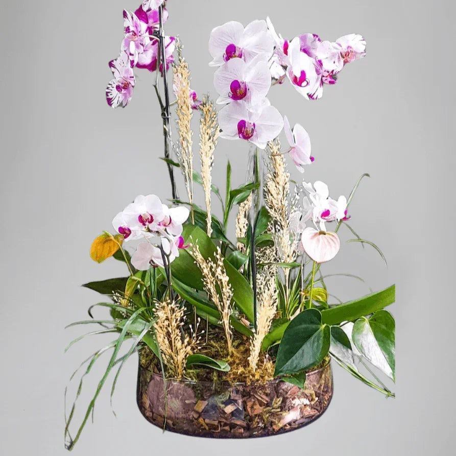 Assinatura Jardins G