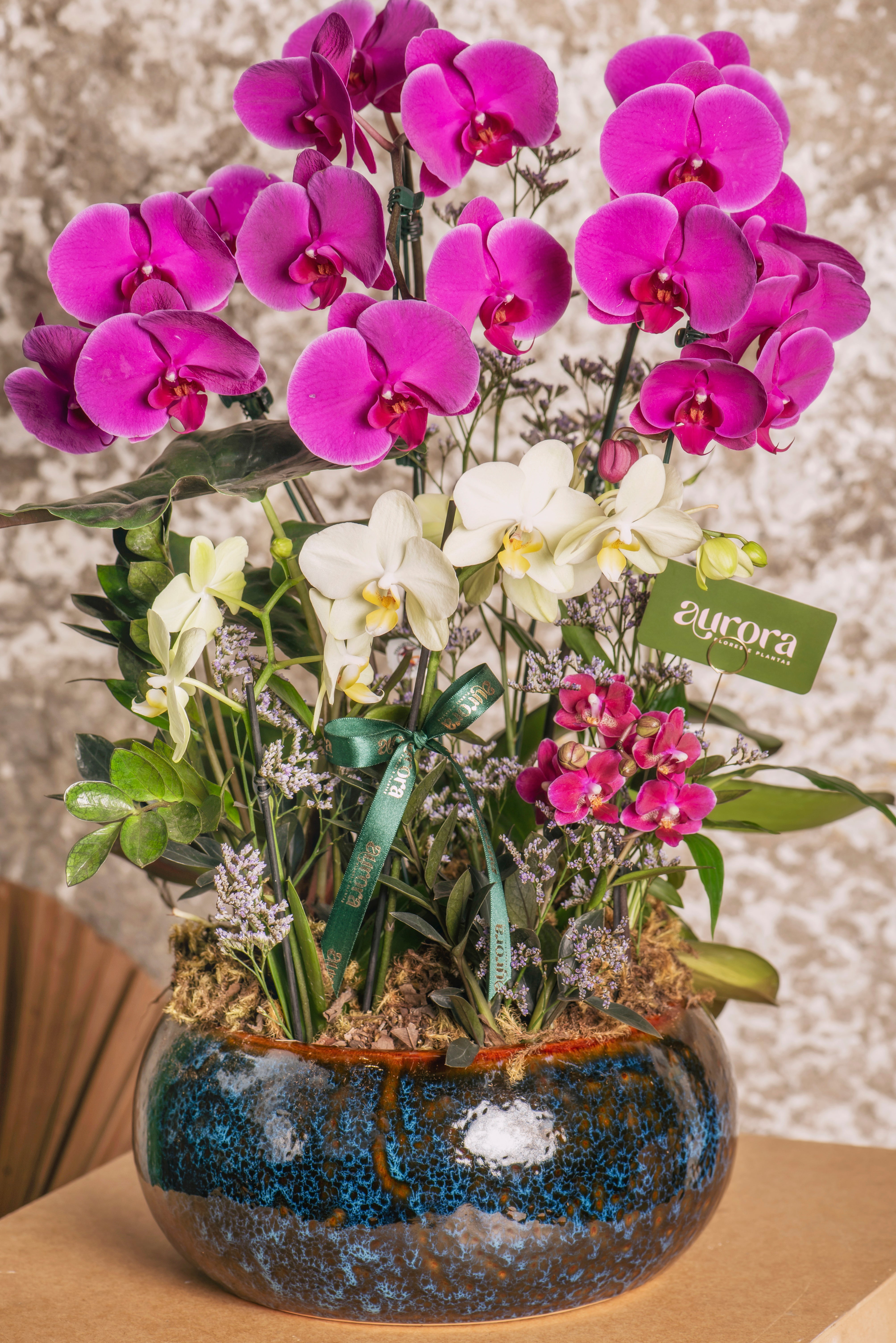 Jardim Aurora Premium