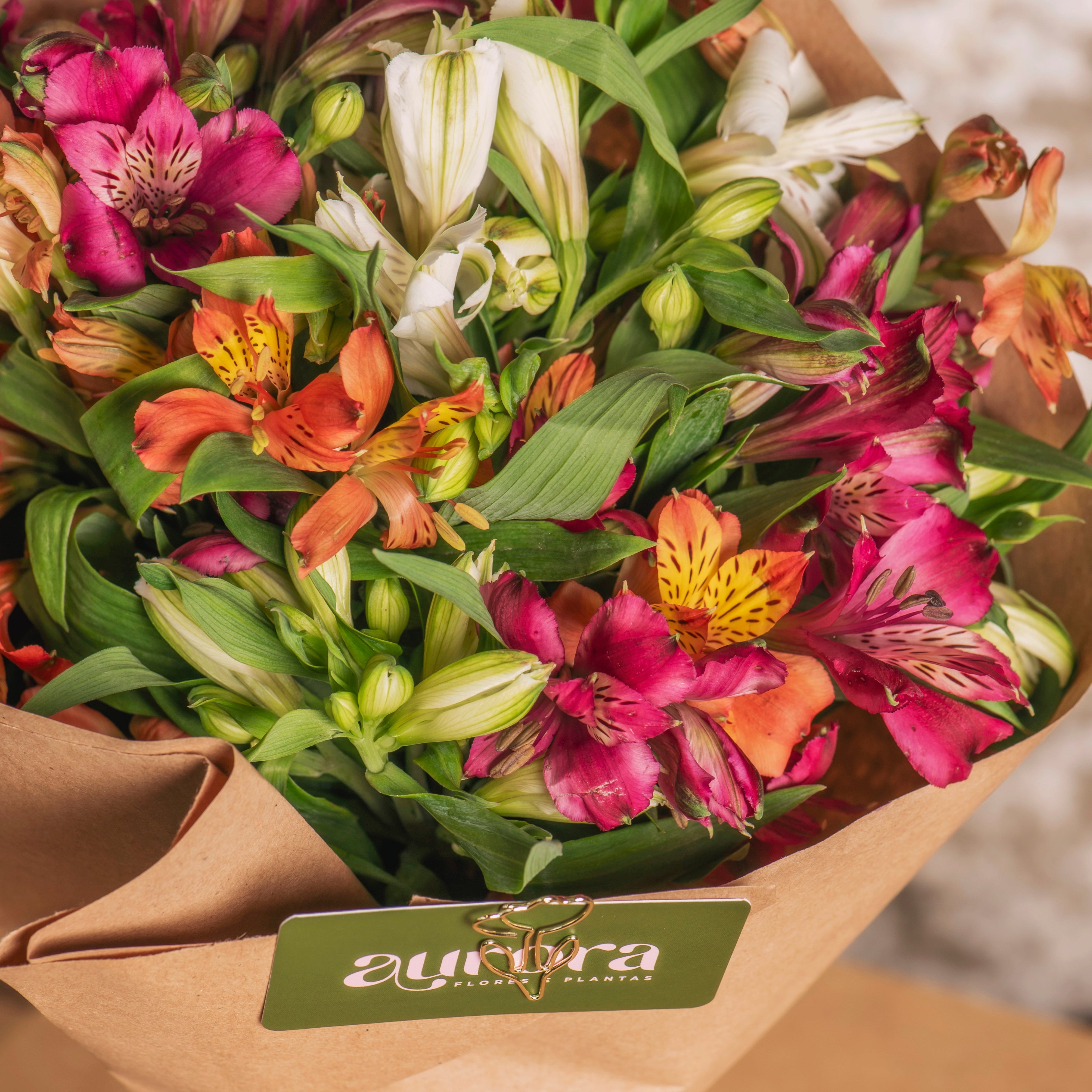 Buque Flores do Campo