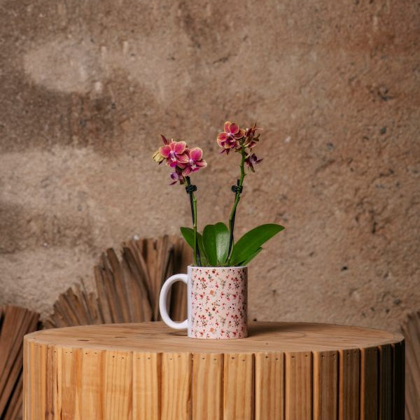 Caneca Mini Orquidea