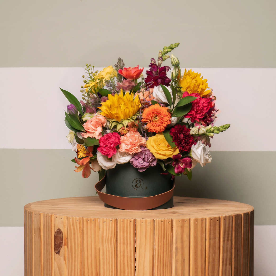 Box Primavera Premium