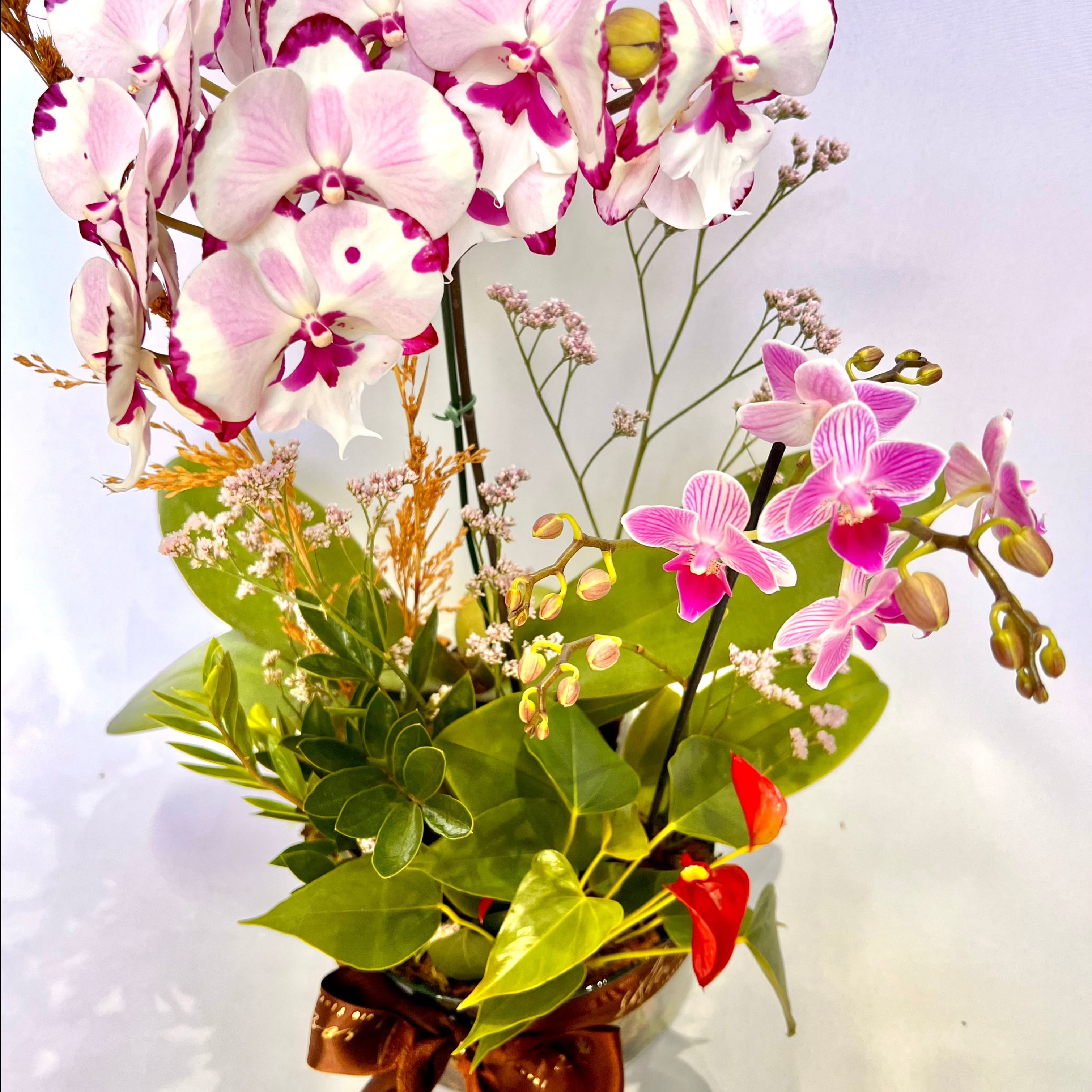 Assinatura Jardins M