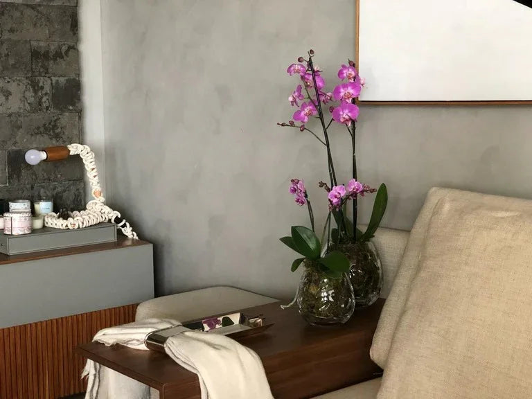 Assinatura Jardins P