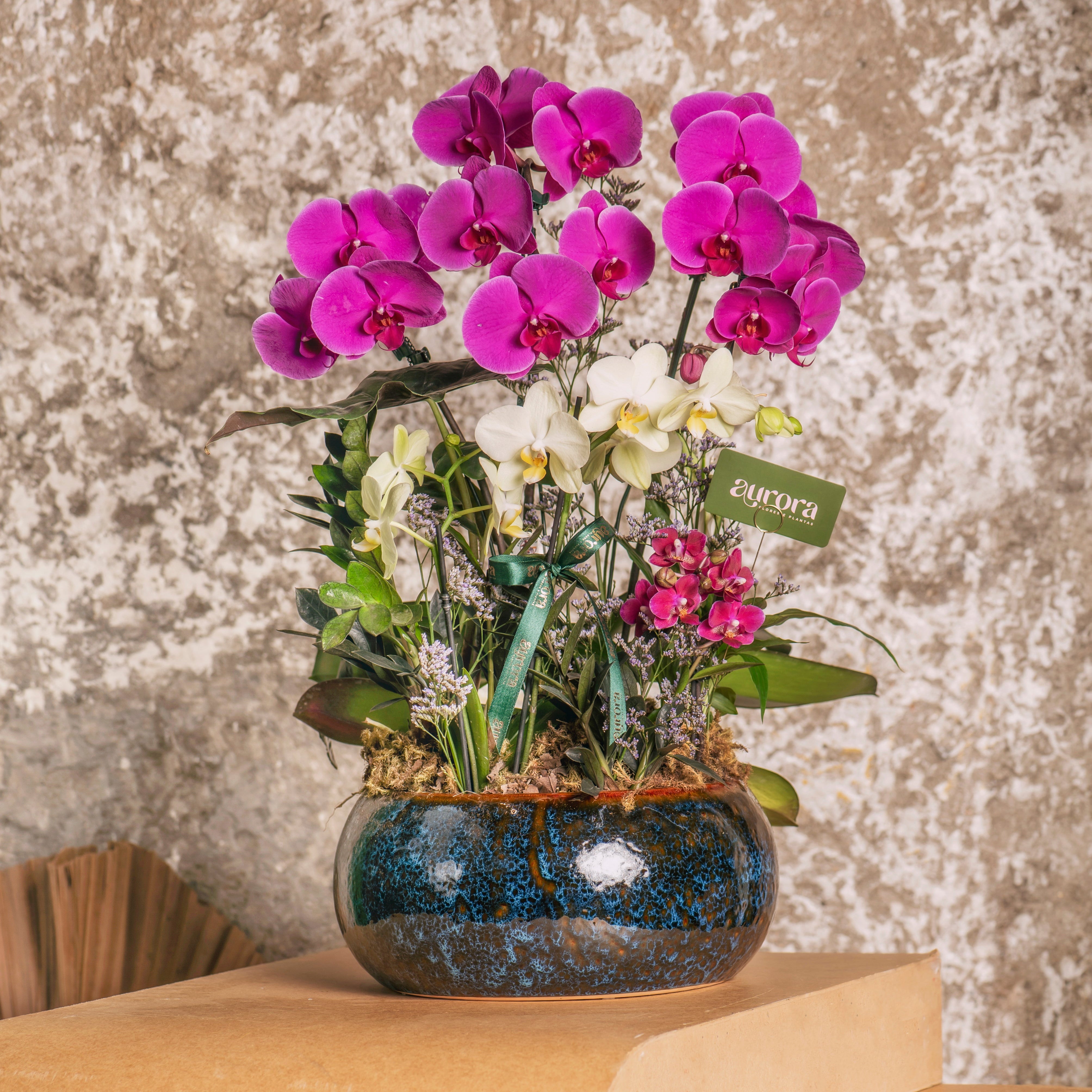 Jardim Aurora Premium
