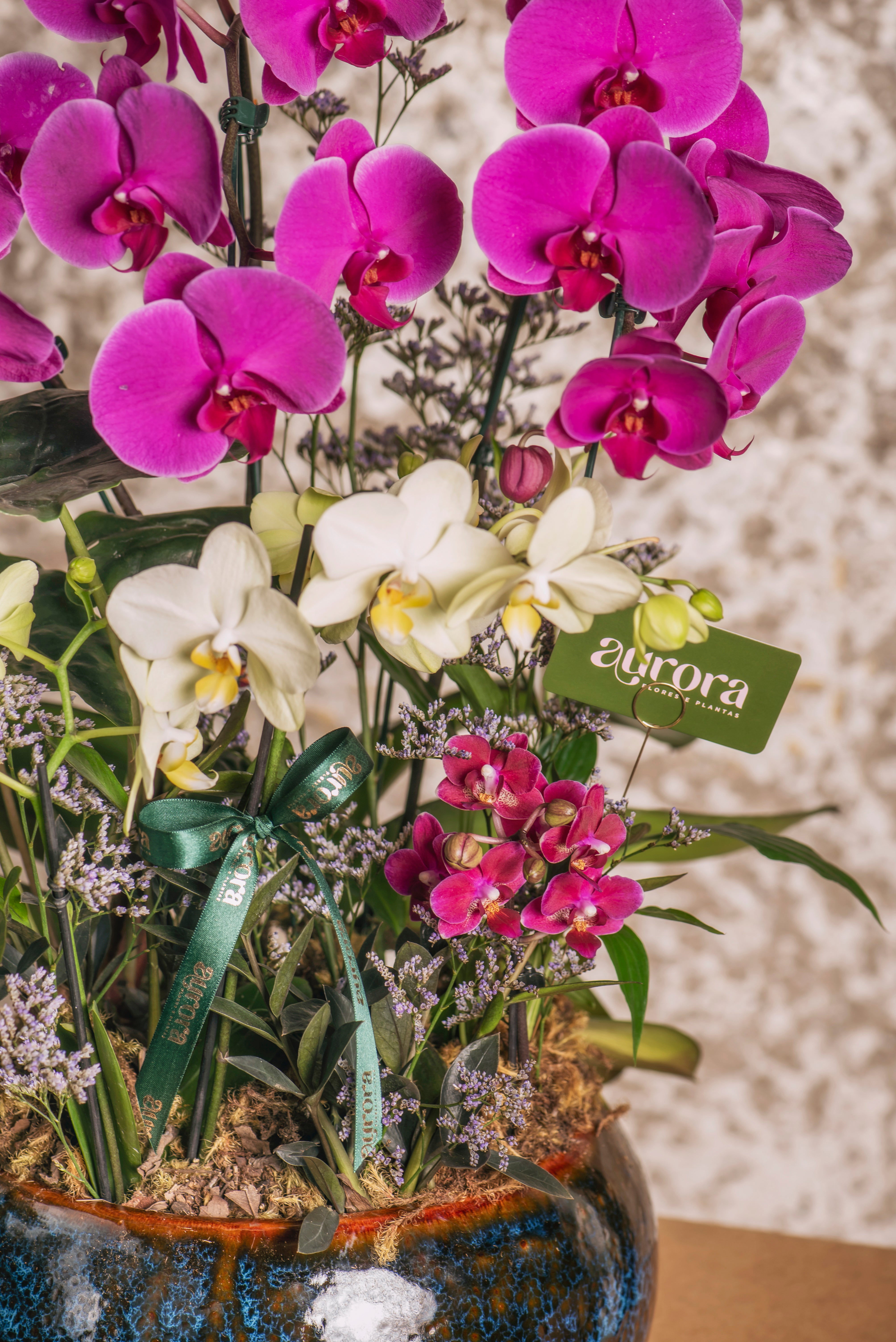 Jardim Aurora Premium