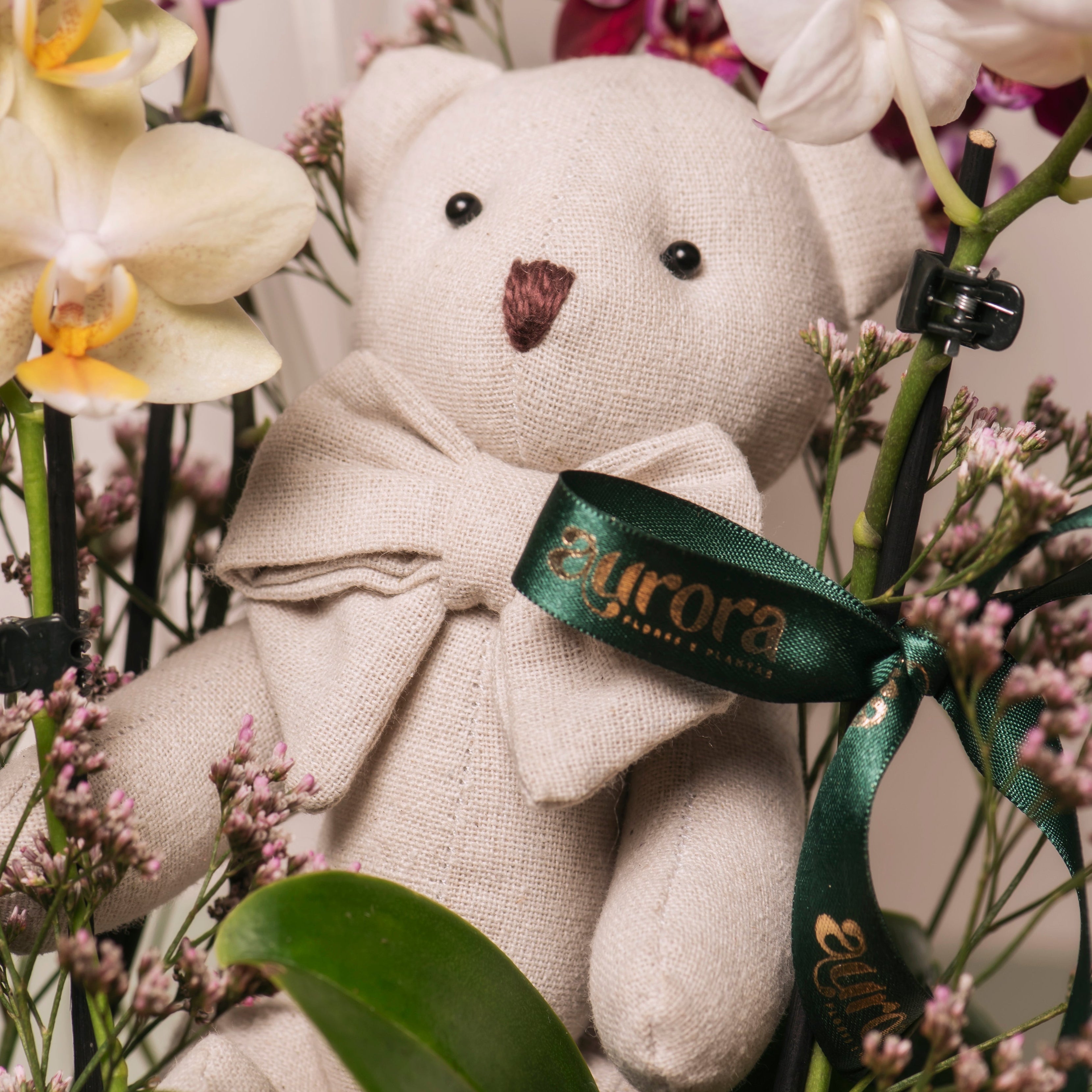 Box Florescer - Maternidade Branca